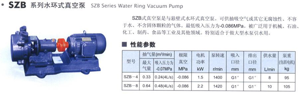 水環(huán)式真空泵